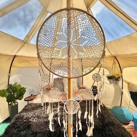 The Pisces-A Stargazing, Luxury Glamping Tent Rogersville Exterior foto