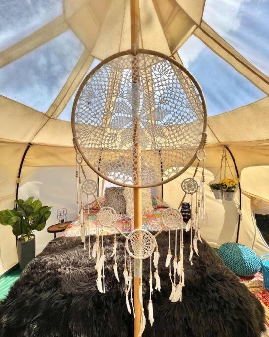 The Pisces-A Stargazing, Luxury Glamping Tent Rogersville Exterior foto